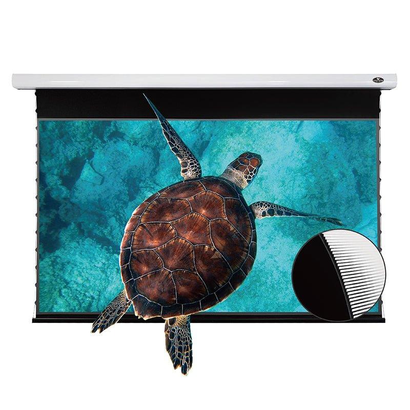 VIVIDSTORM 130" PRO/PRO A/PRO P/PRO PA Plus Slimline Motorized Tension UST ALR Projector Screen